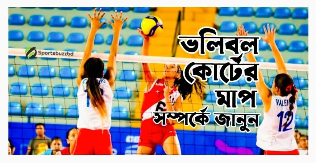 ভলিবল কোর্টের মাপ