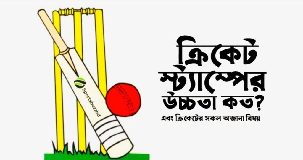 ক্রিকেট স্ট্যাম্পের উচ্চতা কত? পিচের বৈশিষ্ট্য এবং ক্রিকেটের সকল অজানা বিষয়